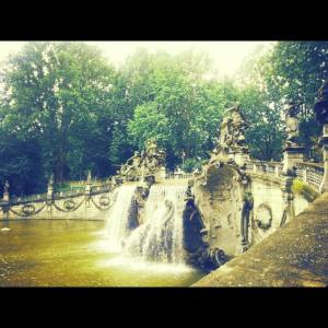 11540964_10207112242509454_154339680_n