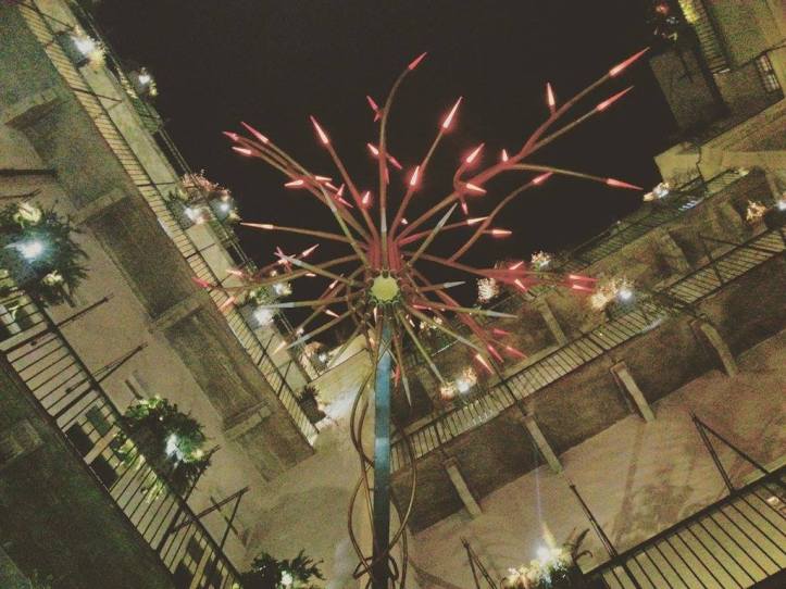 12369528_10208391255323975_2001982402_o