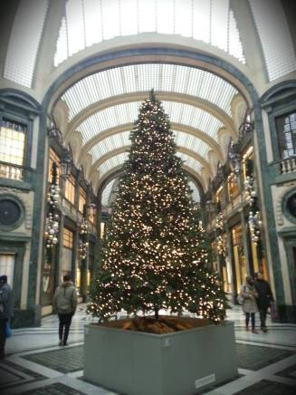 albero san federico torino