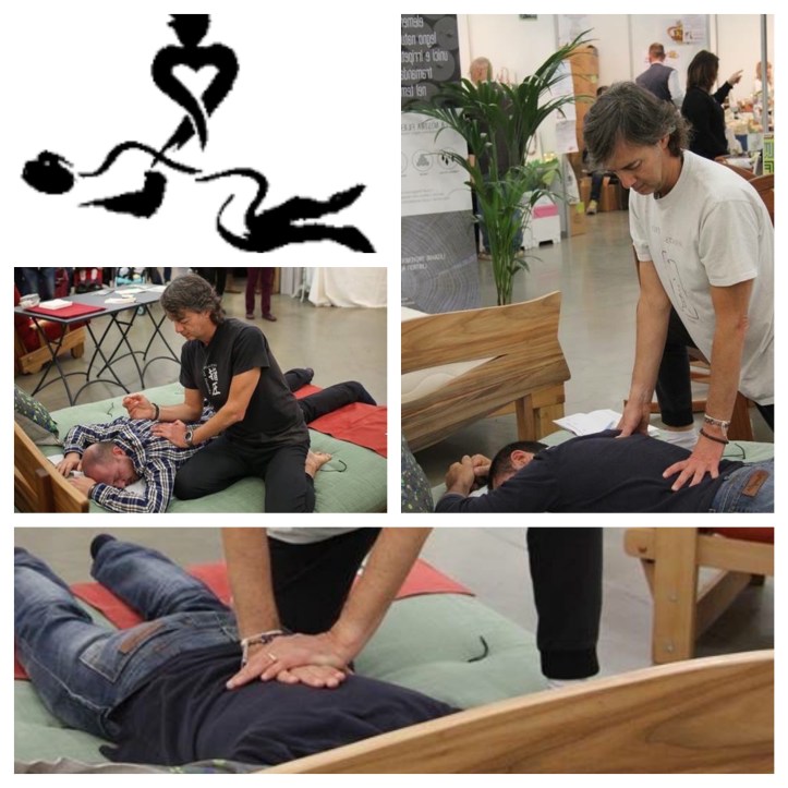 logo shiatsu_Fotor_Collage