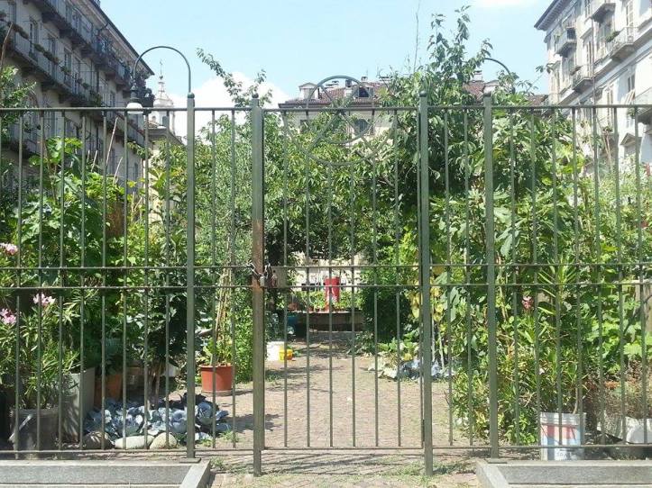 13871788_10210287523769501_232116942_n