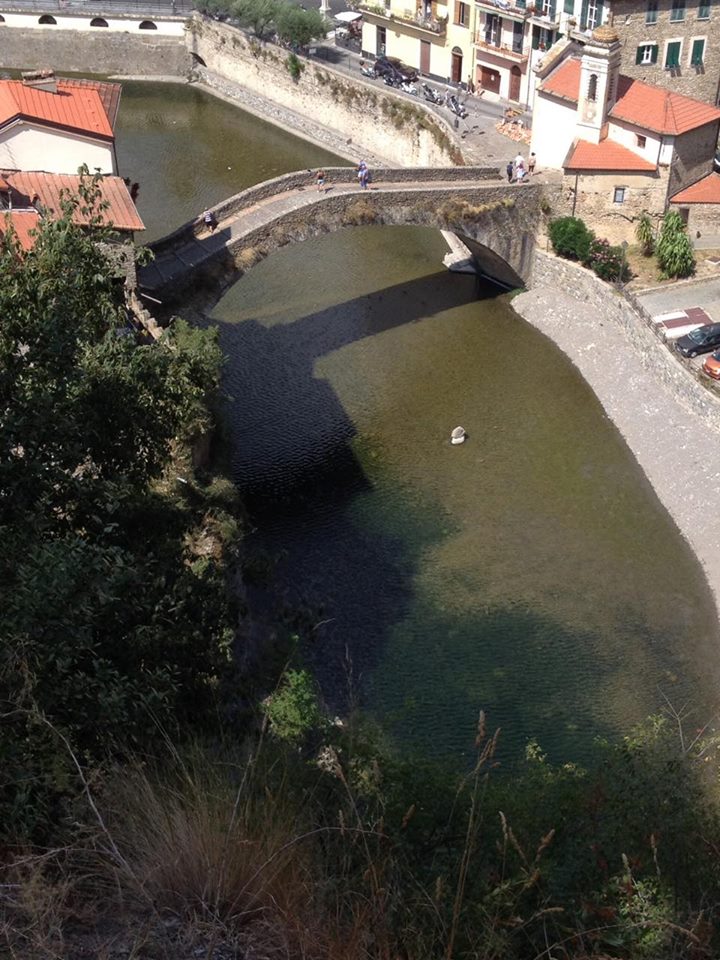 ponte monet
