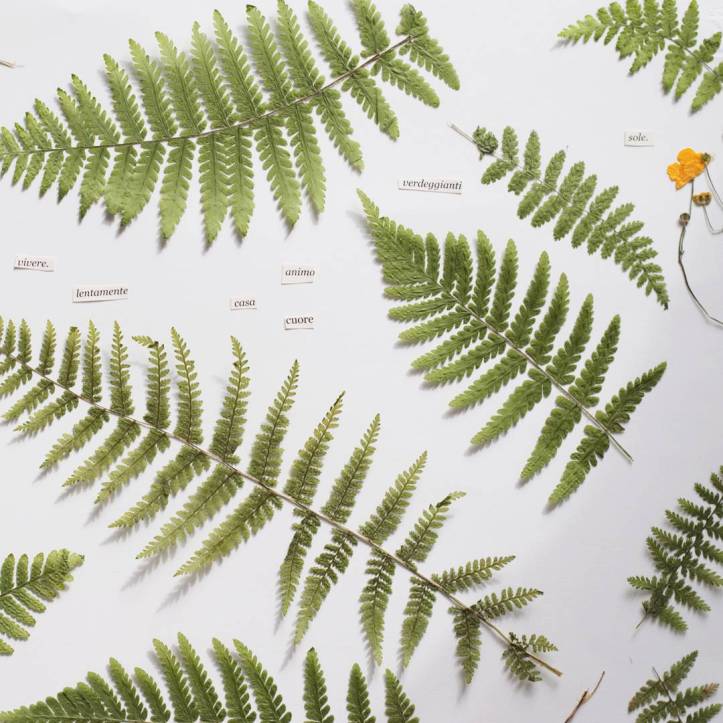 IMG_20170910_222357_367