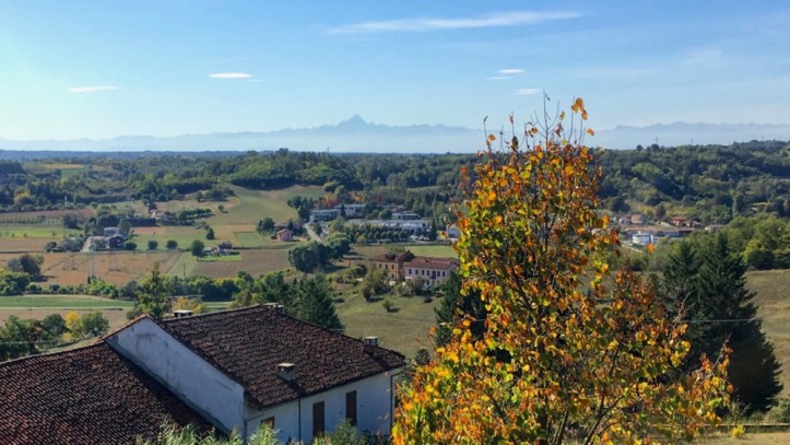 4_sabaudita_alice_avallone