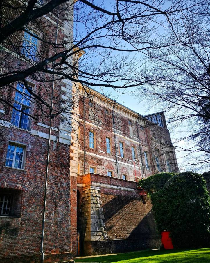 17126762_132466333947223_2094505007360507904_n