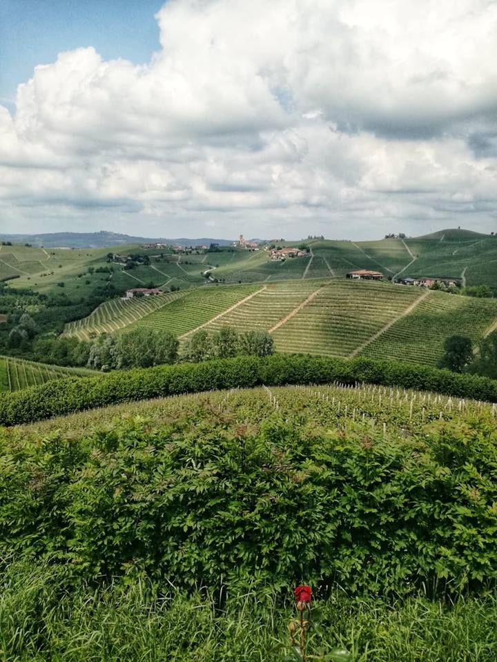 barbaresco