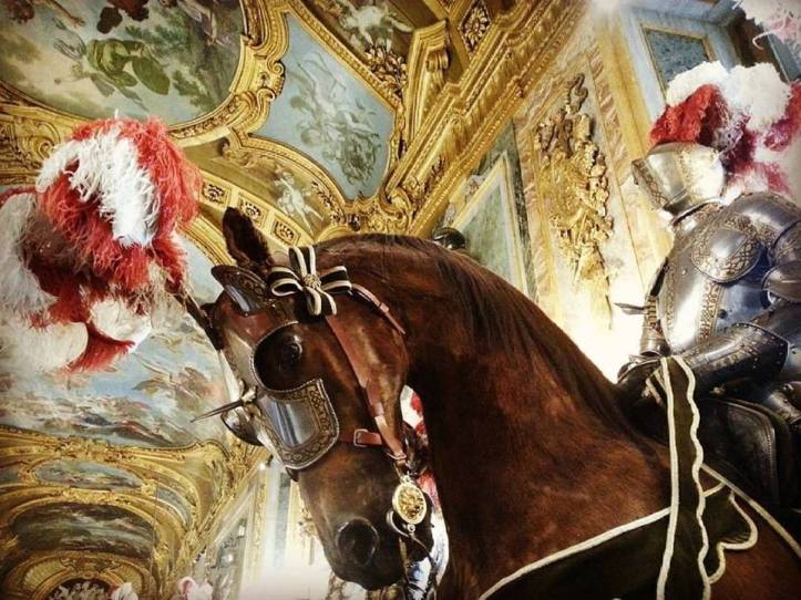 palazzoreale_cavaliere