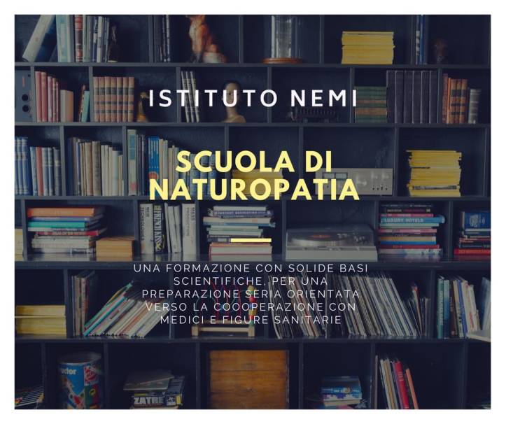 nemiistituto