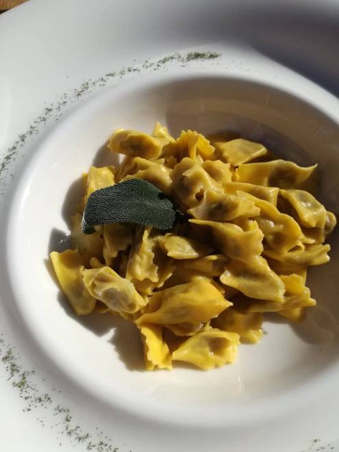 54798692_243266563161450_2842541469686824960_n