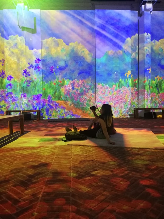 monet2