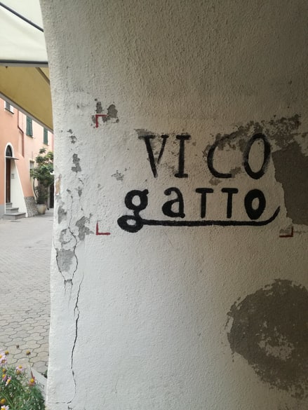 vicogatto_rivaligure