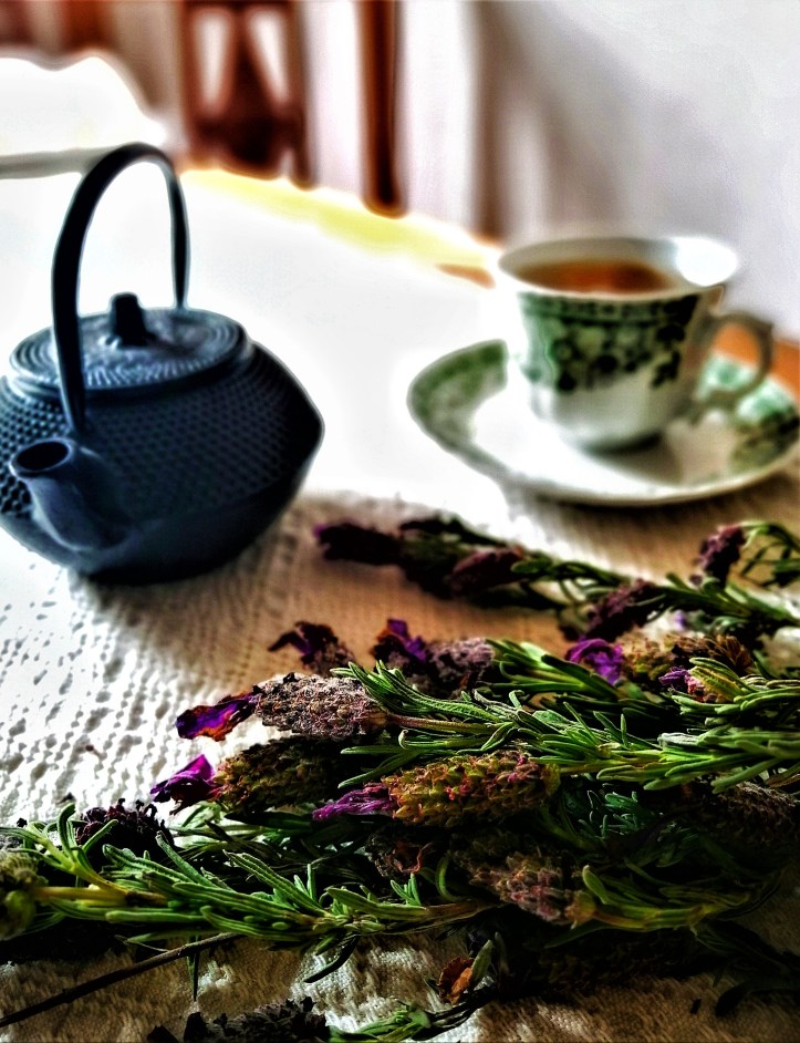 IMG_20190421_173027-01 (1).jpeg