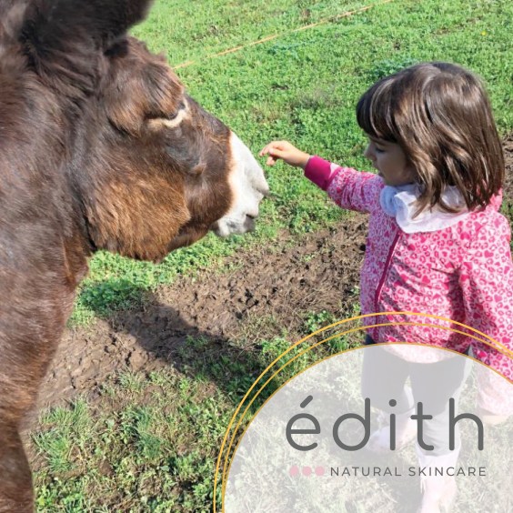 EDITH_facebook vuoto10