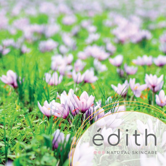 EDITH_facebook vuoto11